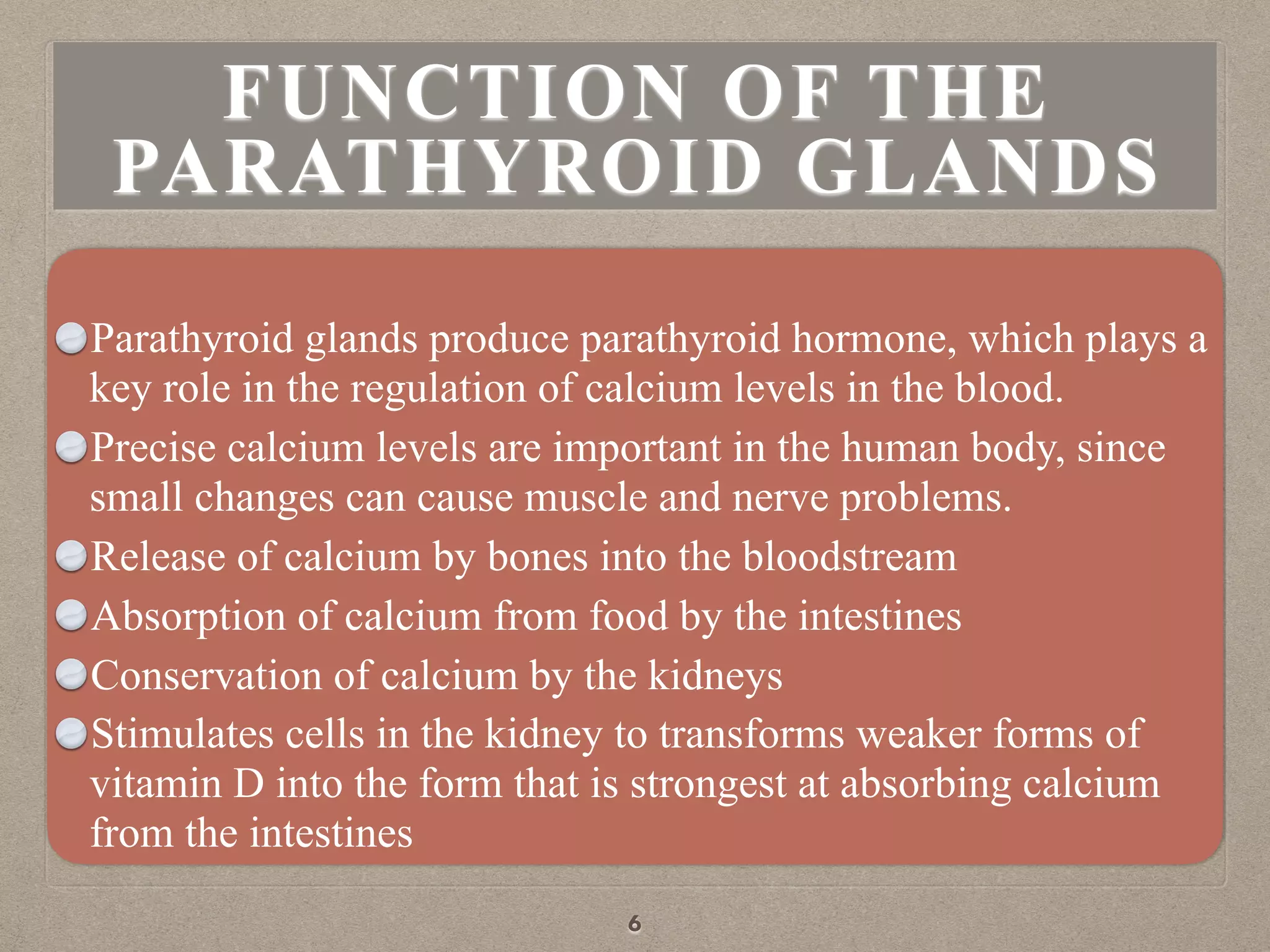 FUNCTION OF THE
PARATHYROID GLANDS
Parathyroid glands produce parathyroid hormone, which plays a
key role in the regulation of calcium levels in the blood.
Precise calcium levels are important in the human body, since
small changes can cause muscle and nerve problems.
Release of calcium by bones into the bloodstream
Absorption of calcium from food by the intestines
Conservation of calcium by the kidneys
Stimulates cells in the kidney to transforms weaker forms of
vitamin D into the form that is strongest at absorbing calcium
from the intestines
6
 