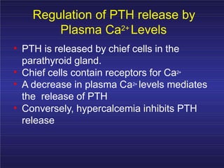 Regulation of PTH release by
Plasma Ca2+ Levels
• PTH is released by chief cells in the
parathyroid gland.
•
•
Chief cells contain receptors for Ca2+
A decrease in plasma Ca2+ levels mediates
the release of PTH
• Conversely, hypercalcemia inhibits PTH
release
 