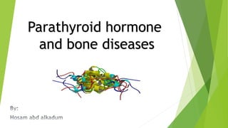 Parathyroid hormone
and bone diseases
 