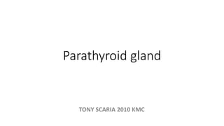 Parathyroid gland
TONY SCARIA 2010 KMC
 
