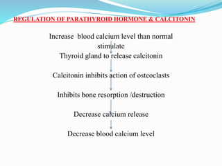 REGULATION OF PARATHYROID HORMONE & CALCITONIN
Increase blood calcium level than normal
stimulate
Thyroid gland to release calcitonin
Calcitonin inhibits action of osteoclasts
Inhibits bone resorption /destruction
Decrease calcium release
Decrease blood calcium level
 