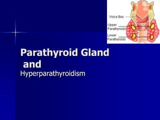 Parathyroid Gland
and
Hyperparathyroidism
 