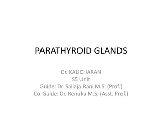 PARATHYROID GLANDS
Dr. KALICHARAN
S5 Unit
Guide: Dr. Sailaja Rani M.S. (Prof.)
Co-Guide: Dr. Renuka M.S. (Asst. Prof.)
 