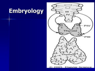 Embryology
 