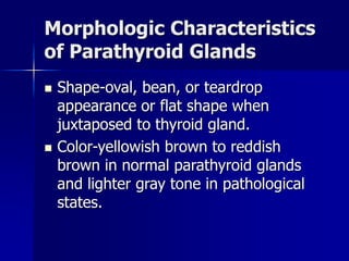 Morphologic Characteristics
of Parathyroid Glands
 Shape-oval, bean, or teardrop
appearance or flat shape when
juxtaposed to thyroid gland.
 Color-yellowish brown to reddish
brown in normal parathyroid glands
and lighter gray tone in pathological
states.
 