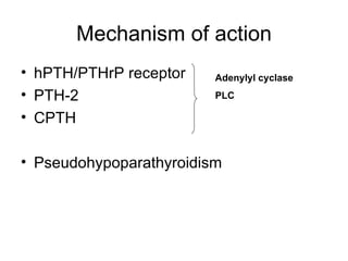 Mechanism of action hPTH/PTHrP receptor PTH-2 CPTH Pseudohypoparathyroidism Adenylyl cyclase PLC 