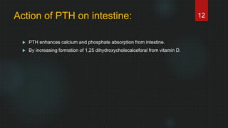Action of PTH on intestine:
 PTH enhances calcium and phosphate absorption from intestine.
 By increasing formation of 1,25 dihydroxycholecalceforal from vitamin D.
12
 