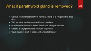 What if parathyroid gland is removed?
 Calcium level in blood falls from normal 9.4mg/dl to 6-7 mg/dl in two three
days.
 With such low level symptoms of tetany develops.
 Most sensitive muscle to tetanic sparsm are laryngeal muscles.
 Spasms of laryngel muscles obstructs respiration.
 Usual cause of death in people with untreated tetany.
20
 