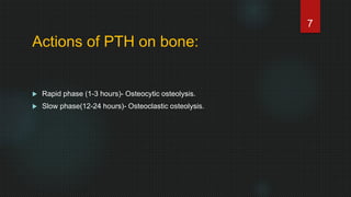 Actions of PTH on bone:
 Rapid phase (1-3 hours)- Osteocytic osteolysis.
 Slow phase(12-24 hours)- Osteoclastic osteolysis.
7
 