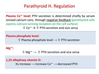 Parathyroid H. Regulation
Plasma Ca++ level: PTH secretion is determined chiefly by serum
ionized calcium conc. through negative feedback (parathyroid cells
express calcium-sensing receptors on the cell surface)
 Ca++ →  PTH secretion and vice versa
Plasma phosphate level:
 Plasma phosphate level →  PTH secretion
Mg++:
 Mg++ →  PTH secretion and vice versa
1,25-dihydroxy vitamin D:
Its increase → increase Ca++ → decreased PTH
 