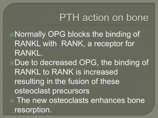 Normally OPG blocks the binding of
RANKL with RANK, a receptor for
RANKL.
Due to decreased OPG, the binding of
RANKL to RANK is increased
resulting in the fusion of these
osteoclast precursors
 The new osteoclasts enhances bone
resorption.
 