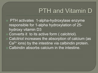  PTH activates 1-alpha-hydroxylase enzyme
responsible for 1-alpha hydroxylation of 25-
hydroxy vitamin D3
 Converts it to its active form ( calcitriol).
 Calcitriol increases the absorption of calcium (as
Ca2+ ions) by the intestine via calbindin protein.
 Calbindin absorbs calcium in the intestine.
 