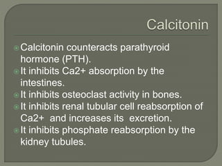 Calcitonin counteracts parathyroid
hormone (PTH).
It inhibits Ca2+ absorption by the
intestines.
It inhibits osteoclast activity in bones.
It inhibits renal tubular cell reabsorption of
Ca2+ and increases its excretion.
It inhibits phosphate reabsorption by the
kidney tubules.
 