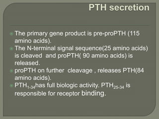  The primary gene product is pre-proPTH (115
amino acids).
 The N-terminal signal sequence(25 amino acids)
is cleaved and proPTH( 90 amino acids) is
released.
 proPTH on further cleavage , releases PTH(84
amino acids).
 PTH1-34has full biologic activity. PTH25-34 is
responsible for receptor binding.
 