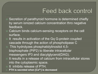  Secretion of parathyroid hormone is determined chiefly
by serum ionized calcium concentration thro negative
feedback.
 Calcium binds calcium-sensing receptors on the cell
surface.
 It results in activation of the Gq G-protein coupled
cascade through the action of phospholipase C
 This hydrolyzes phosphatidylinositol 4,5-
bisphosphate (PIP2) to liberate intracellular
messengers IP3 and diacylglycerol(DAG).
 It results in a release of calcium from intracellular stores
into the cytoplasmic space.
 It inhibits release of PTH.
 PTH is secreted when [Ca2+] is decreased
 