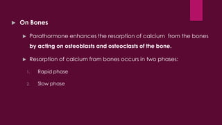 Parathyroid hormone and calcium homeostasis | PDF