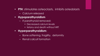 Parathyroid hormone and calcium homeostasis | PDF