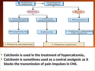 Parathyroid hormone & Vit D Calcium & phosphate homeostasis.pptx