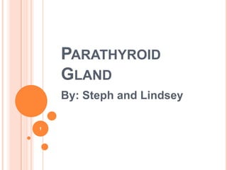 PARATHYROID
    GLAND
    By: Steph and Lindsey

1
 