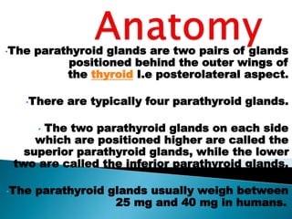 •The parathyroid glands are two pairs of glands
positioned behind the outer wings of
the thyroid I.e posterolateral aspect.
•There are typically four parathyroid glands.
• The two parathyroid glands on each side
which are positioned higher are called the
superior parathyroid glands, while the lower
two are called the inferior parathyroid glands.
•The parathyroid glands usually weigh between
25 mg and 40 mg in humans.
 