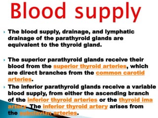  The blood supply, drainage, and lymphatic
drainage of the parathyroid glands are
equivalent to the thyroid gland.
 The superior parathyroid glands receive their
blood from the superior thyroid arteries, which
are direct branches from the common carotid
arteries.
 The inferior parathyroid glands receive a variable
blood supply, from either the ascending branch
of the inferior thyroid arteries or the thyroid ima
artery. The inferior thyroid artery arises from
the subclavian arteries.
 