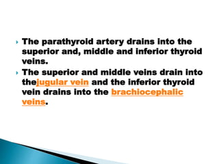  The parathyroid artery drains into the
superior and, middle and inferior thyroid
veins.
 The superior and middle veins drain into
thejugular vein and the inferior thyroid
vein drains into the brachiocephalic
veins.
 