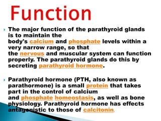  The major function of the parathyroid glands
is to maintain the
body's calcium and phosphate levels within a
very narrow range, so that
the nervous and muscular system can function
properly. The parathyroid glands do this by
secreting parathyroid hormone.
 Parathyroid hormone (PTH, also known as
parathormone) is a small protein that takes
part in the control of calcium
and phosphate homeostasis, as well as bone
physiology. Parathyroid hormone has effects
antagonistic to those of calcitonin.
 