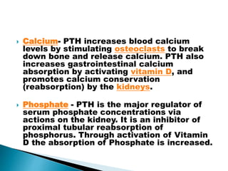  Calcium- PTH increases blood calcium
levels by stimulating osteoclasts to break
down bone and release calcium. PTH also
increases gastrointestinal calcium
absorption by activating vitamin D, and
promotes calcium conservation
(reabsorption) by the kidneys.
 Phosphate - PTH is the major regulator of
serum phosphate concentrations via
actions on the kidney. It is an inhibitor of
proximal tubular reabsorption of
phosphorus. Through activation of Vitamin
D the absorption of Phosphate is increased.
 