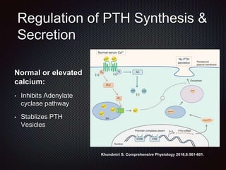 The Many Faces of Hyperparathyroidism & Advances in Treatment | PPTX