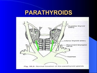 PARATHYROIDS ,[object Object]