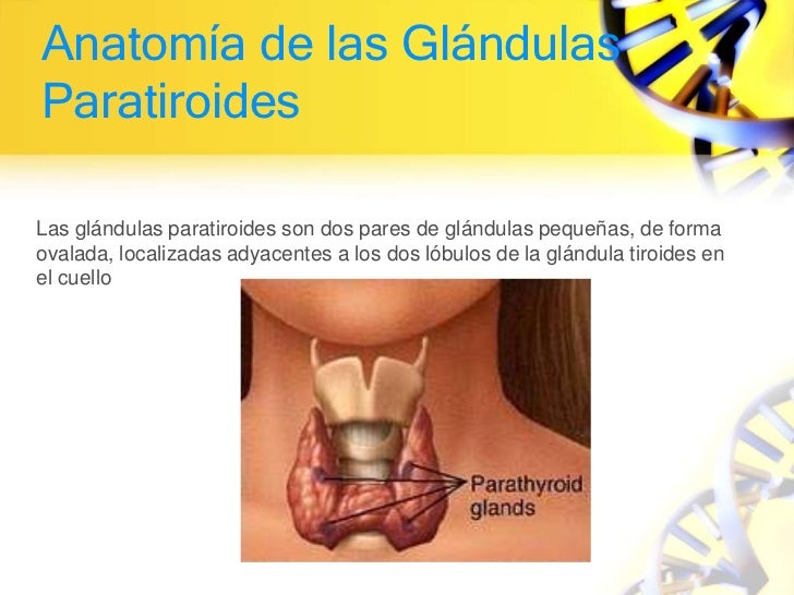 Mensual duele la espalda y el vientre por qué