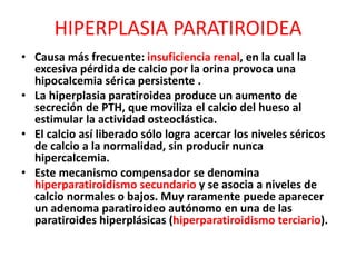 HIPERPLASIA PARATIROIDEA
• Causa más frecuente: insuficiencia renal, en la cual la
excesiva pérdida de calcio por la orina provoca una
hipocalcemia sérica persistente .
• La hiperplasia paratiroidea produce un aumento de
secreción de PTH, que moviliza el calcio del hueso al
estimular la actividad osteoclástica.
• El calcio así liberado sólo logra acercar los niveles séricos
de calcio a la normalidad, sin producir nunca
hipercalcemia.
• Este mecanismo compensador se denomina
hiperparatiroidismo secundario y se asocia a niveles de
calcio normales o bajos. Muy raramente puede aparecer
un adenoma paratiroideo autónomo en una de las
paratiroides hiperplásicas (hiperparatiroidismo terciario).
 