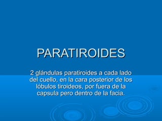 PARATIROIDESPARATIROIDES
2 glándulas paratiroides a cada lado2 glándulas paratiroides a cada lado
del cuello, en la cara posterior de losdel cuello, en la cara posterior de los
lóbulos tiroideos, por fuera de lalóbulos tiroideos, por fuera de la
capsula pero dentro de la facia.capsula pero dentro de la facia.
 
