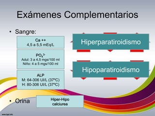 Exámenes Complementarios
• Sangre:
• Orina
Ca ++
4,5 a 5,5 mEq/L
PO4
3-
Adul: 3 a 4,5 mgs/100 ml
Niño: 4 a 5 mgs/100 ml
Ca
++
PO4
3-
ALP
M: 64-306 UI/L (37ºC)
H: 80-306 UI/L (37ºC)
ALPHiperparatiroidismo
Hiper-Hipo
calciurea
PO4
3-
Ca
++
ALP
Hipoparatiroidismo
 