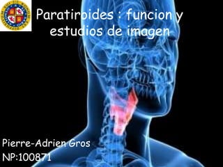 Paratiroides : funcion y
estudios de imagen
Pierre-Adrien Gros
NP:100871
 