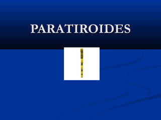 PARATIROIDESPARATIROIDES
 