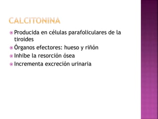 Producida en células parafoliculares de la
tiroides
 Órganos efectores: hueso y riñón
 Inhibe la resorción ósea
 Incrementa excreción urinaria
 