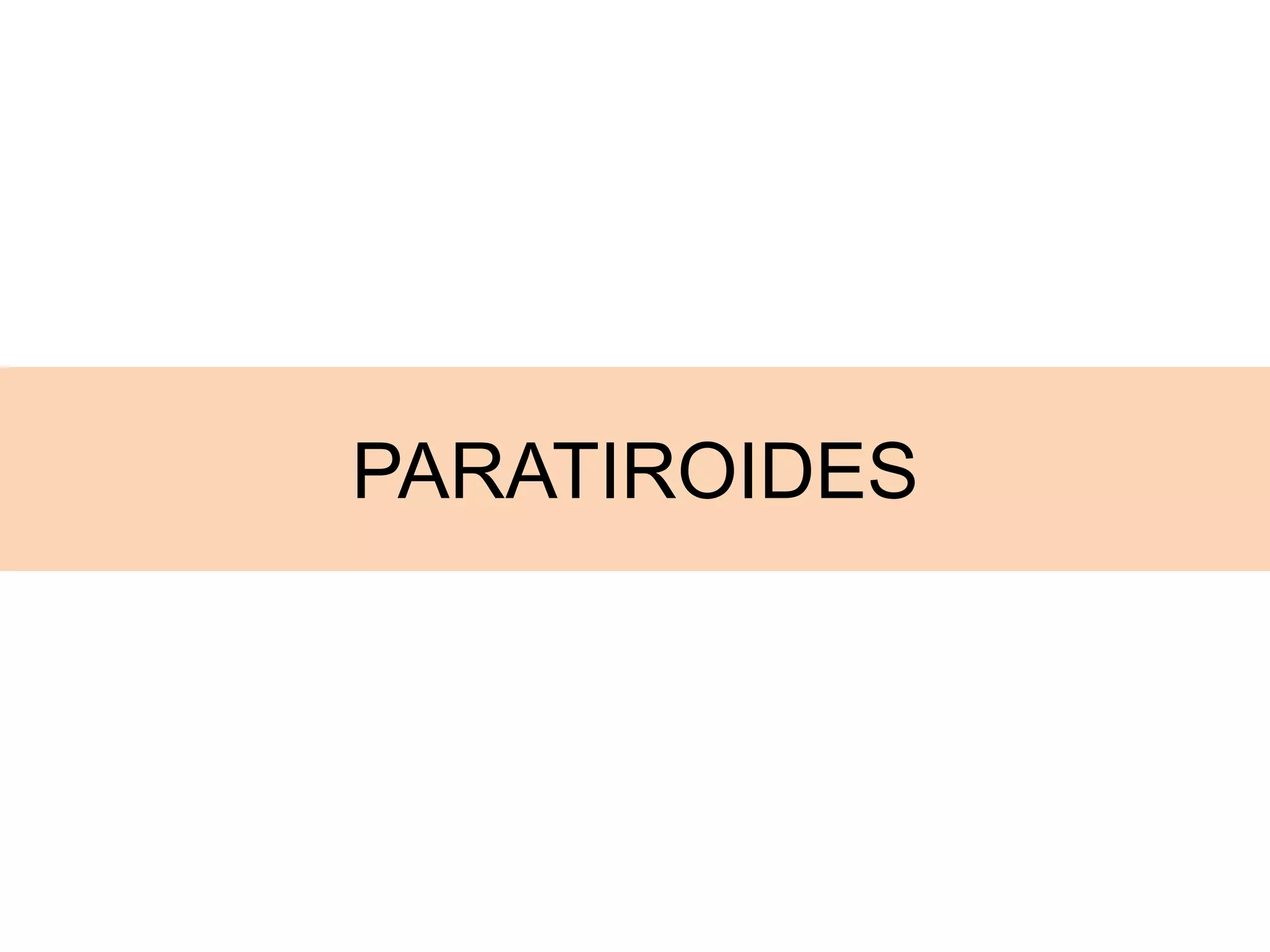 PARATIROIDES