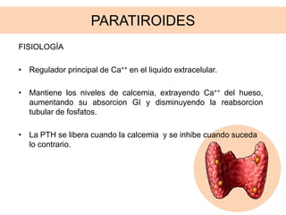 PARATIROIDES
FISIOLOGÍA
• Regulador principal de Ca++ en el liquido extracelular.
• Mantiene los niveles de calcemia, extrayendo Ca++ del hueso,
aumentando su absorcion GI y disminuyendo la reabsorcion
tubular de fosfatos.
• La PTH se libera cuando la calcemia y se inhibe cuando suceda
lo contrario.