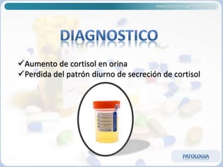 PARATIROIDES Y SUPRARRENALES
Aumento de cortisol en orina
Perdida del patrón diurno de secreción de cortisol
 