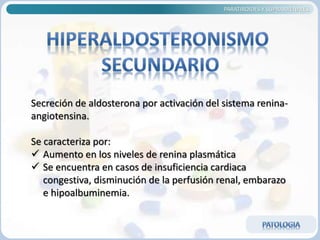 PARATIROIDES Y SUPRARRENALES
Secreción de aldosterona por activación del sistema renina-
angiotensina.
Se caracteriza por:
 Aumento en los niveles de renina plasmática
 Se encuentra en casos de insuficiencia cardiaca
congestiva, disminución de la perfusión renal, embarazo
e hipoalbuminemia.
 
