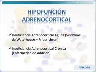 PARATIROIDES Y SUPRARRENALES
Insuficiencia Adrenocortical Aguda (Síndrome
de Waterhouse – Friderichsen)
Insuficiencia Adrenocortical Crónica
(Enfermedad de Addison)
 