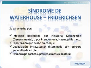 PARATIROIDES Y SUPRARRENALES
Se caracteriza por:
 Infección bacteriana por Neisseria Meningitidis
(Generalmente), o por Pseudomona, Haemophilus, etc.
 Hipotensión que acabe en choque
 Coagulación intravascular diseminada con púrpura
generalizada en piel.
 Hemorragia corticosuprarrenal masiva bilateral
 