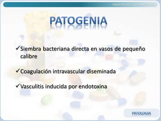 PARATIROIDES Y SUPRARRENALES
Siembra bacteriana directa en vasos de pequeño
calibre
Coagulación intravascular diseminada
Vasculitis inducida por endotoxina
 