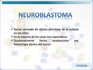 PARATIROIDES Y SUPRARRENALES
 Tumor derivado de células primitivas de la médula
en los niños
 En la mayoría de los casos son esporádicos
 Ocasionalmente forma seudoquistes por
hemorragia dentro del tumor.
 