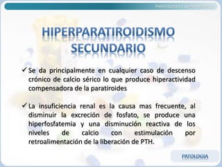 PARATIROIDES Y SUPRARRENALES
 Se da principalmente en cualquier caso de descenso
crónico de calcio sérico lo que produce hiperactividad
compensadora de la paratiroides
 La insuficiencia renal es la causa mas frecuente, al
disminuir la excreción de fosfato, se produce una
hiperfosfatemia y una disminución reactiva de los
niveles de calcio con estimulación por
retroalimentación de la liberación de PTH.
 