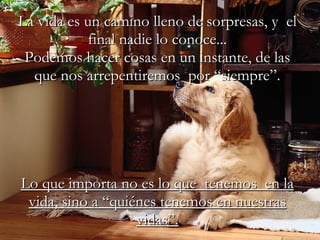 La vida es un camino lleno de sorpresas, y  el final nadie lo conoce... Podemos hacer cosas en un instante, de las que nos arrepentiremos  por “siempre”. Lo que importa no es lo que  tenemos  en la vida, sino a “quiénes tenemos en nuestras vidas”. 