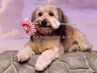 Dios Los Bendiga   Y  “Gracias” por formar parte de mi Vida viernes, 4 de marzo de 2011 11:56:21 a.m. 