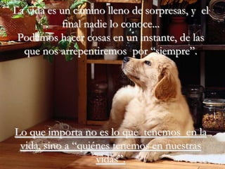 La vida es un camino lleno de sorpresas, y el
            final nadie lo conoce...
 Podemos hacer cosas en un instante, de las
  que nos arrepentiremos por “siempre”.




Lo que importa no es lo que tenemos en la
 vida, sino a “quiénes tenemos en nuestras
                   vidas”.
 