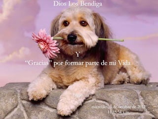 Dios Los Bendiga




                 Y
“Gracias” por formar parte de mi Vida



                Edgar

                        miércoles, 3 de octubre de 2012
                                 11:35:34 a.m.
 
